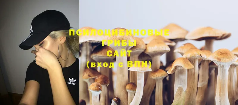 Псилоцибиновые грибы MAGIC MUSHROOMS  Стрежевой 